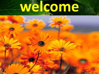welcome