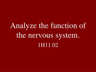 Analyze the function of the nervous system.