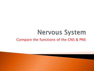 Nervous System