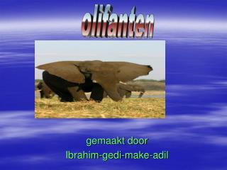 gemaakt door Ibrahim-gedi-make-adil