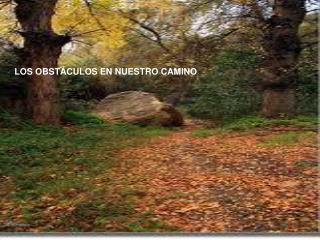LOS OBSTÁCULOS EN NUESTRO CAMINO