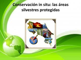 Conservación in situ: las áreas silvestres protegidas