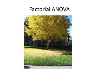 Factorial ANOVA