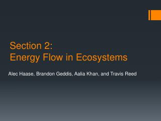 Section 2: Energy Flow in Ecosystems