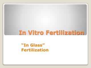 In Vitro Fertilization