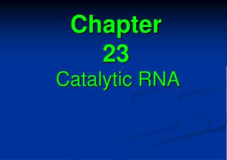 Chapter 23