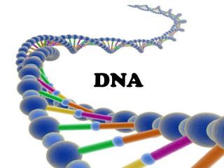 DNA