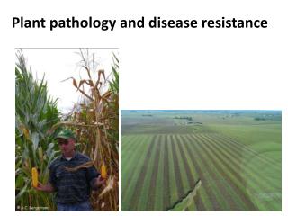 P lant pathology and disease resistance
