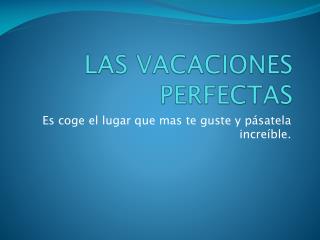 LAS VACACIONES PERFECTAS