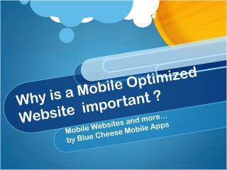 Why is a Mobile Optimized Website important ?