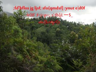; fd'bflos jg ljsf ; sfo { qmdsf ] : ynut e|d0f -lr08' ;f=j=p=;, s';fb ] jL — $_