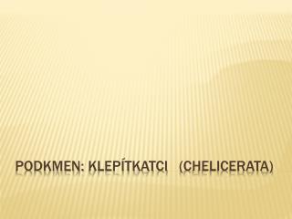 Podkmen: Klepítkatci ( Chelicerata )