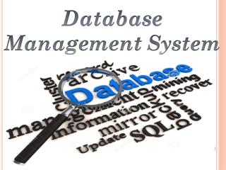 Database Management System