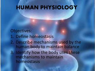 HUMAN PHYSIOLOGY