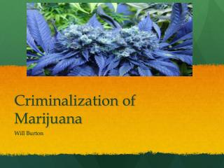 Criminalization of Marijuana