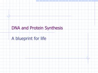 DNA and Protein Synthesis