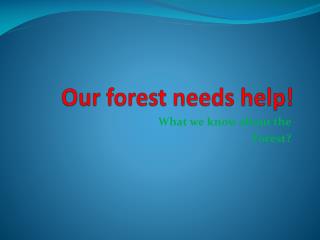 Our forest needs help!