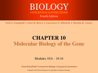 CHAPTER 10 Molecular Biology of the Gene