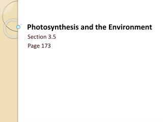 Photosynthesis and the Environment