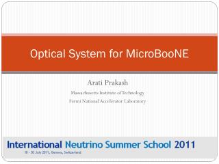 Optical System for MicroBooNE