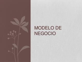 modelo de negocio