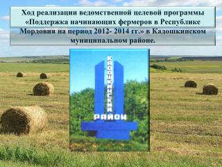 Глава администрации Кадошкинского муниципального района