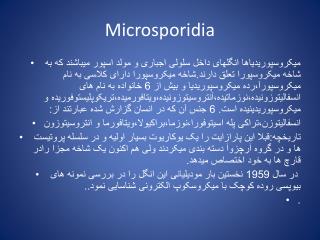 Microsporidia