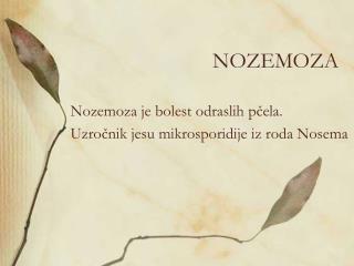 NOZEMOZA