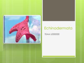 Echinodermata