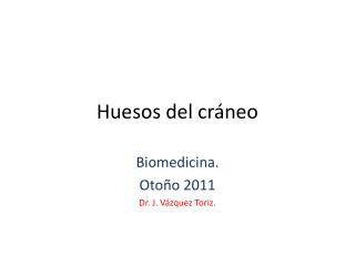 Huesos del cráneo