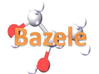Bazele