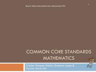 Common Core Standards mathematics