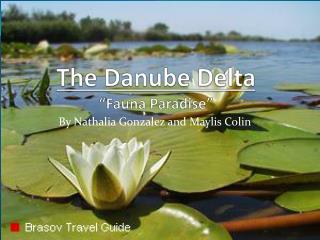 The Danube Delta “Fauna Paradise”