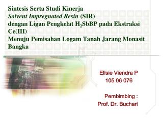 Ellsie Viendra P 105 06 076 	 Pembimbing : Prof. Dr. Buchari