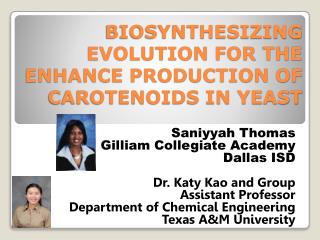 BIOSYNTHESIZING EVOLUTION FOR THE ENHANCE PRODUCTION OF CAROTENOIDS IN YEAST