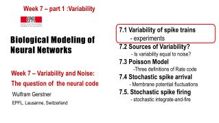 Biological Modeling of Neural Networks