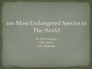 100 Most Endangered Species in The World