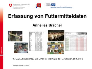 Erfassung von Futtermitteldaten Annelies Bracher