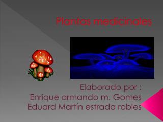 Plantas medicinales
