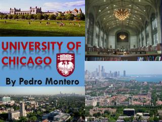 University Of Chicago