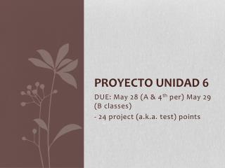 PROYECTO UNIDAD 6