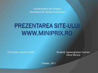 Prezentarea site- ului miniprix.ro