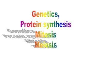 County Test Genetics, mitosis, meiosis &amp; protein synthesis.