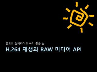 H.264 재생과 RAW 미디어 API