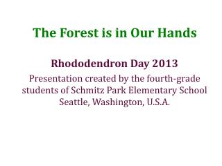 The Forest is in Our Hands