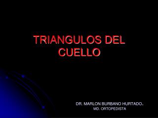 TRIANGULOS DEL CUELLO