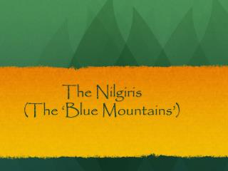 The Nilgiris (The ‘Blue Mountains’)