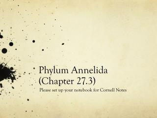 Phylum Annelida (Chapter 27.3)