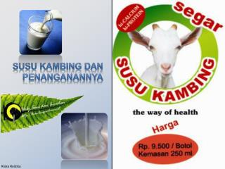 Susu Kambing Dan Penanganannya