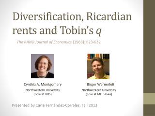 Diversification, Ricardian rents and Tobin’s q